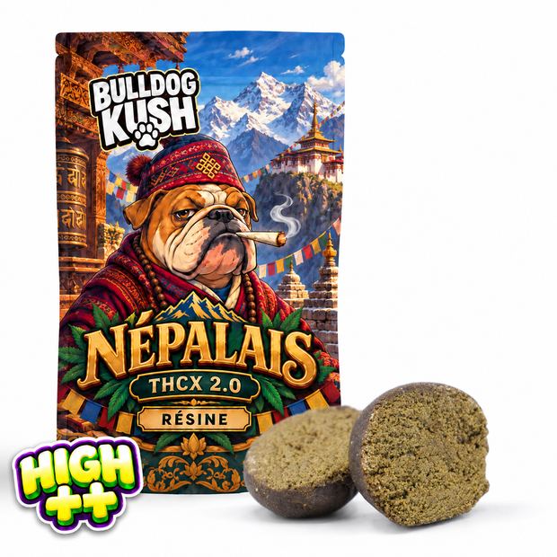 Népalais THCX 2.0 🇳🇵
