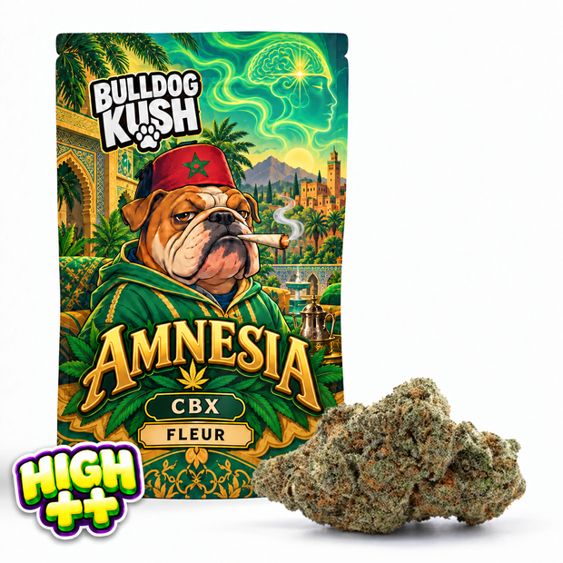 Amnesia CBX 🧠