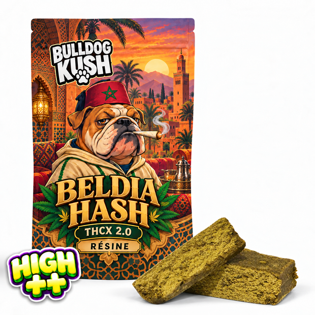 Beldia Hash THCX 2.0 🇲🇦