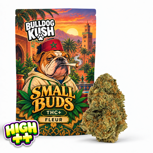 Small Buds THC+ 💥