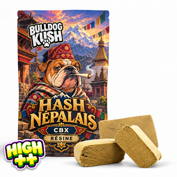 Hash Népalais CBX 🇳🇵
