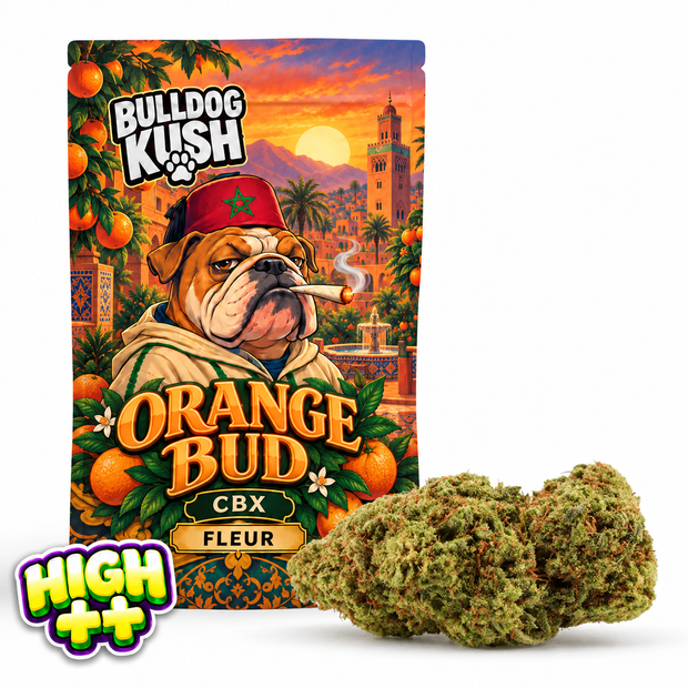 Orange Bud CBX 🍊