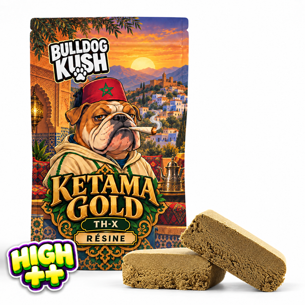 Ketama Gold TH-X 🥇