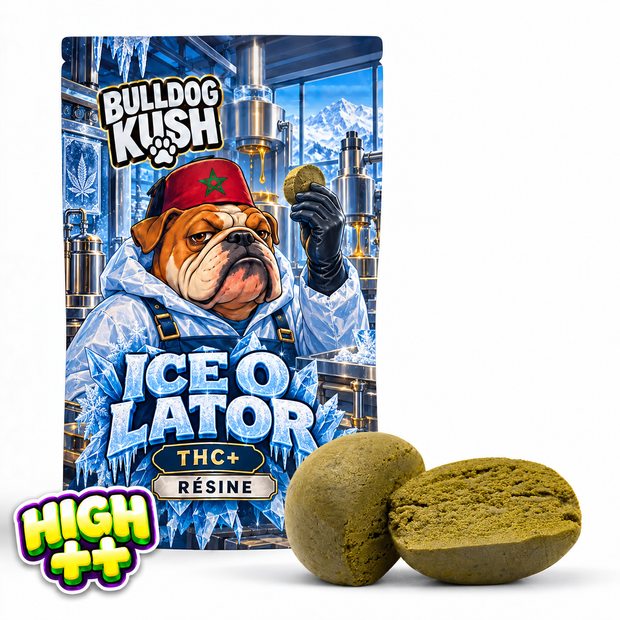 Ice O Lator THC+ 🧊