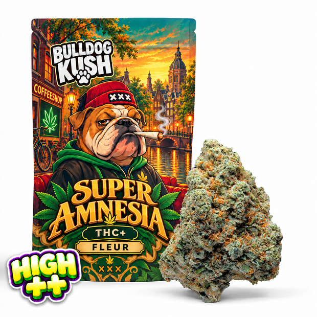 Super Amnesia THC+ 🧠