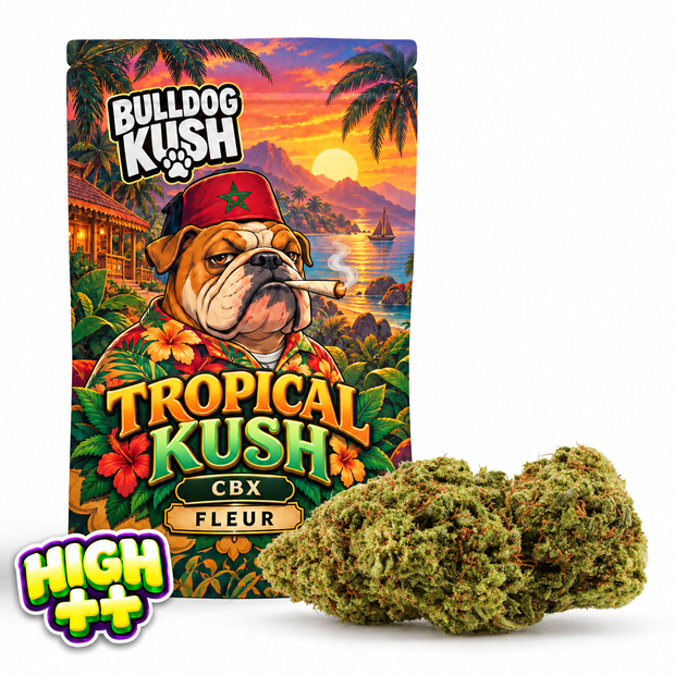 Tropical Kush CBX 🌴