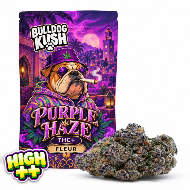 Purple Haze THC+ 😈